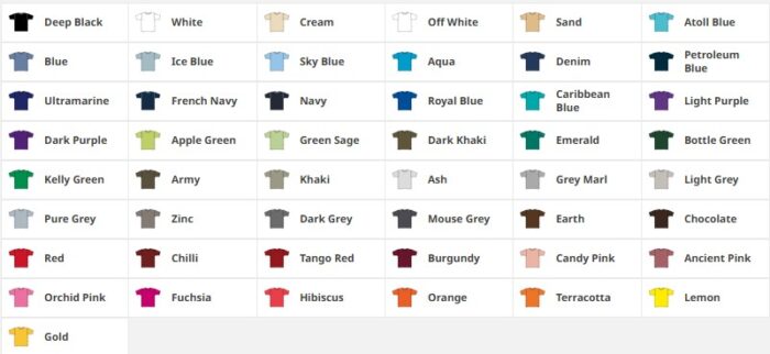 SOL'S Imperial Heavy T-Shirt from £12.50 including your print. - Image 2